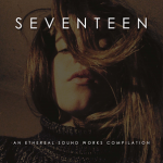 Various Artists - Seventeen